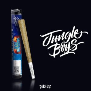 Buy Jungle boys pre rolls uk