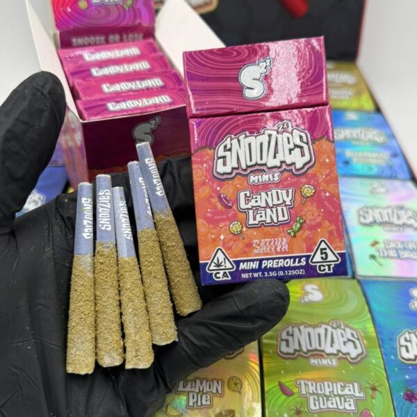 Snoozies mini pre rolls bysnooze