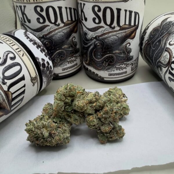 Black Squid by The Ten Co 7 Grams