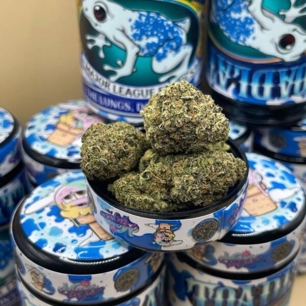 Blue Toadlatti by Mr. Gelatti,